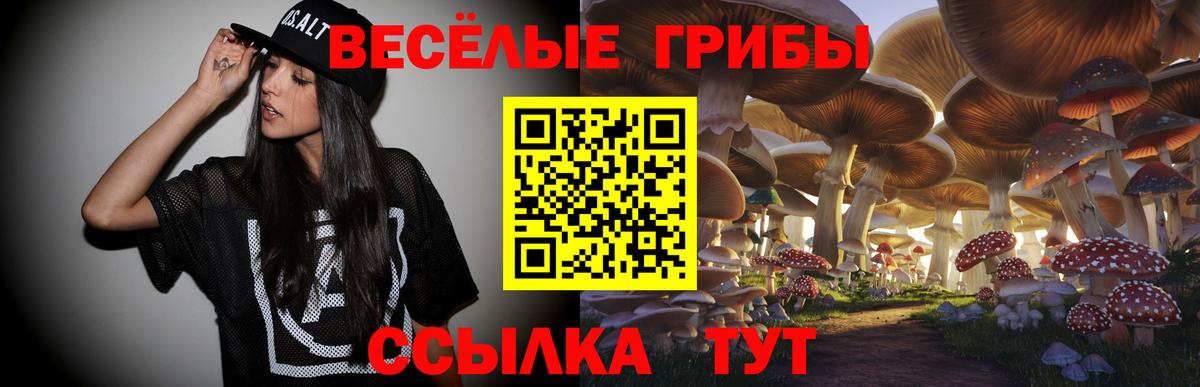 Псилоцибиновые грибы Cubensis  Псилоцибиновые грибы мицелий  Вход с VPN  Кыштым 