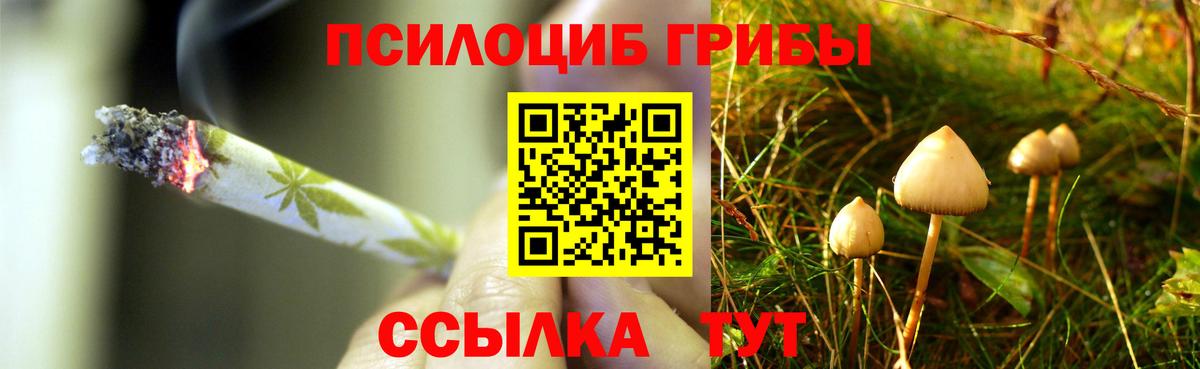 Псилоцибиновые грибы GOLDEN TEACHER Кыштым